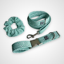 Load image into Gallery viewer, Hedge Maze Leash