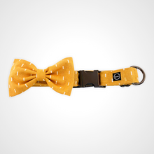 Load image into Gallery viewer, Sun Shower Bow Tie