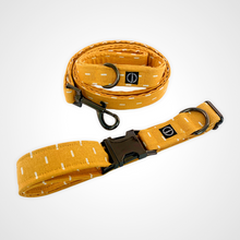 Load image into Gallery viewer, Sun Shower Leash