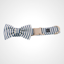 Load image into Gallery viewer, Spring Stripe Bow Tie