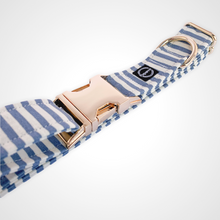 Load image into Gallery viewer, Spring Stripe Collar