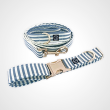 Load image into Gallery viewer, Spring Stripe Leash