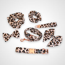 Load image into Gallery viewer, Blush Leopard Collar