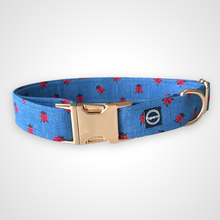 Load image into Gallery viewer, Ladybug Denim Collar

