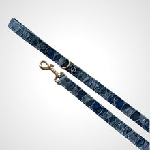 Load image into Gallery viewer, Starry Skies Leash
