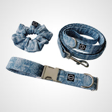 Load image into Gallery viewer, Icy Adventure Leash
