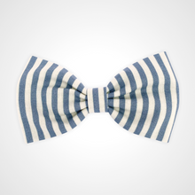 Load image into Gallery viewer, Spring Stripe Bow Tie
