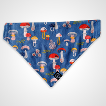 Load image into Gallery viewer, Mushroom Garden Bandana
