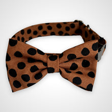 Load image into Gallery viewer, Cocoa Dot Bow Tie
