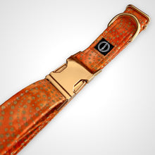 Load image into Gallery viewer, Amber Glow Collar
