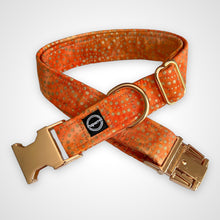 Load image into Gallery viewer, Amber Glow Collar
