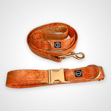 Load image into Gallery viewer, Amber Glow Leash

