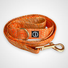 Load image into Gallery viewer, Amber Glow Leash
