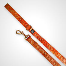 Load image into Gallery viewer, Amber Glow Leash
